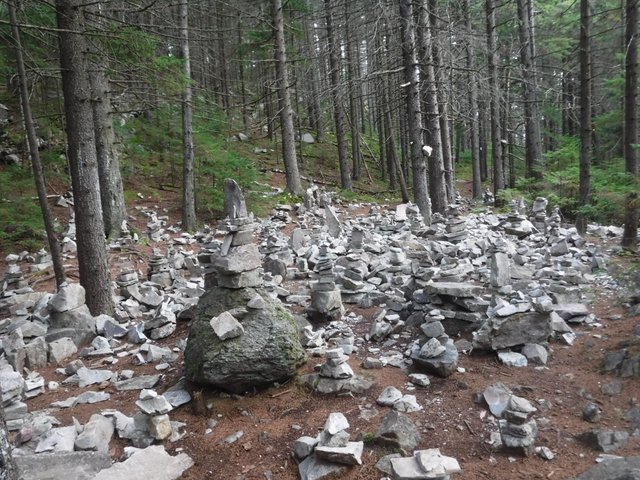 DSCF3356.JPG