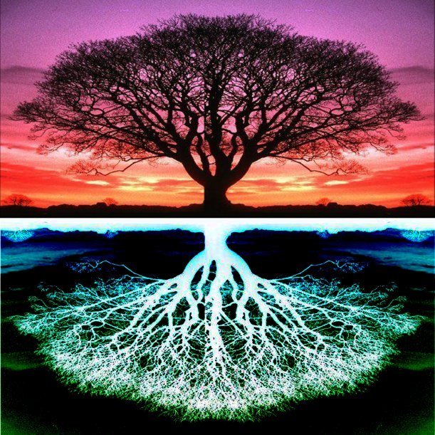 treeoflife.jpg