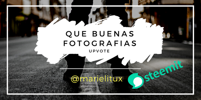 Buenas fotografias....me gusta estos contenidos!!!.png