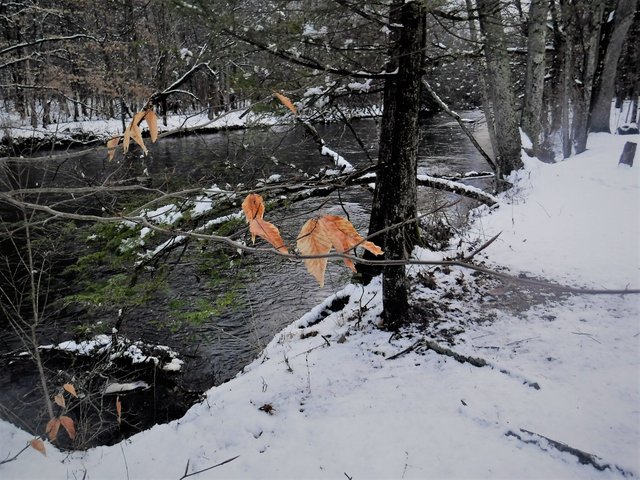 DSCF0076 (2).JPG