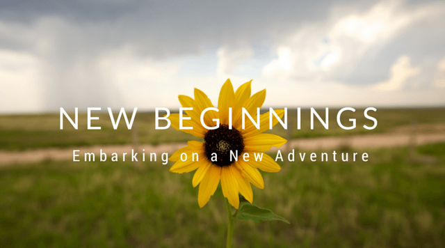 new beginning.png