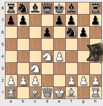 chesslast2.jpg