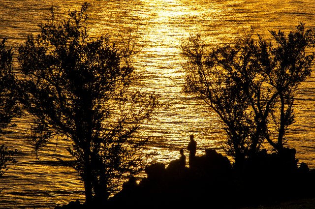 Goldenhourphotography.jpg