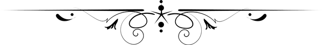 Decorative-Line-Black-PNG-Image.png