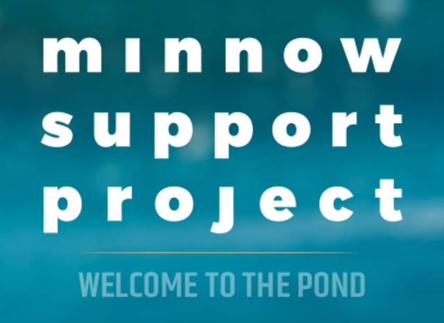 minnow-support-project-welcome-to-the-pond.png