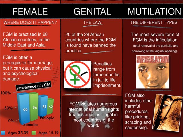 fgm law.jpg