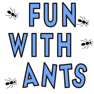 ant fun squared.png