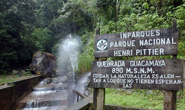 Parque-Nacional-Henri-Pittier.jpg