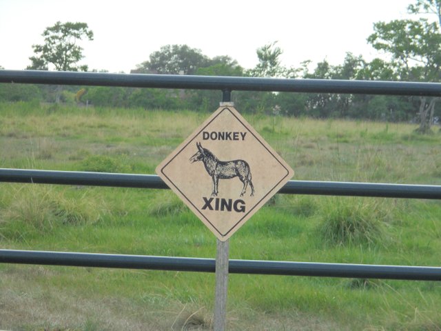 Mule Sign.JPG