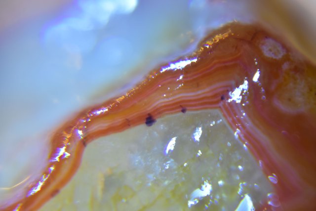 DSC_0146.JPG