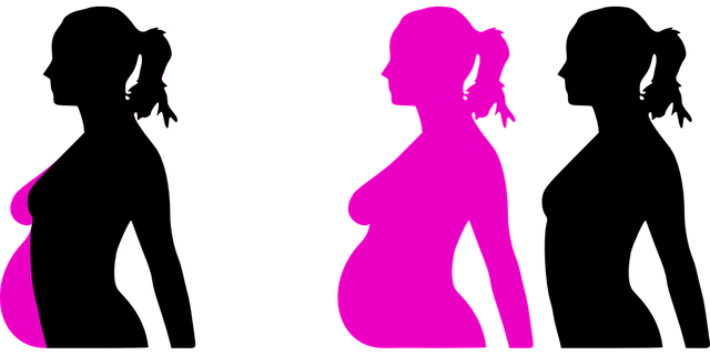 pregnancy-23889_960_720.png