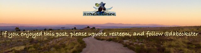 308F9D94-167F-432E-B9C1-6E063DE530E9.jpeg