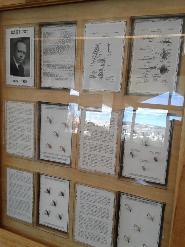 dry fly display.jpg