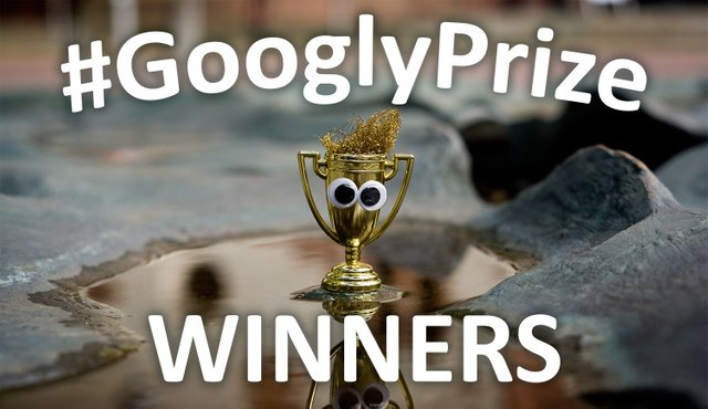 GooglzPriye Winners 10