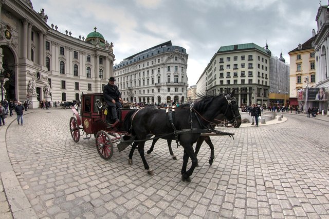 vienna-1472032_1280.jpg