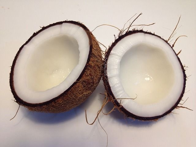 coconut-1771527_640.jpg