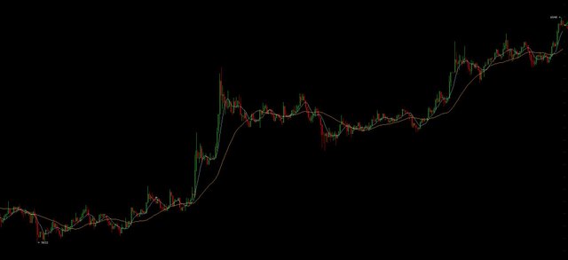 Bitfinex-ATH-1101.jpg