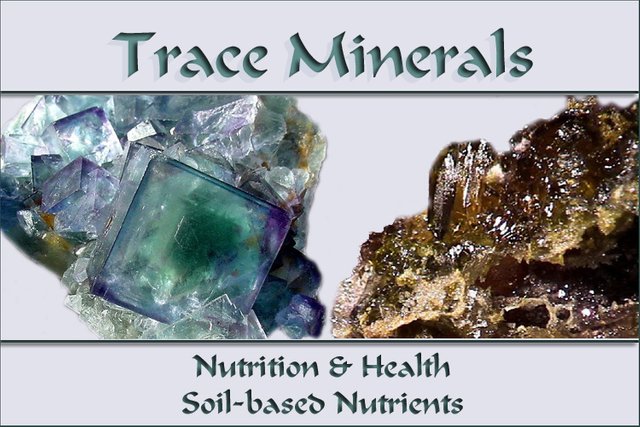 trace-minerals.jpg