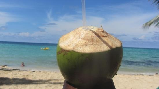 a-coco-on-playa-coco.jpg