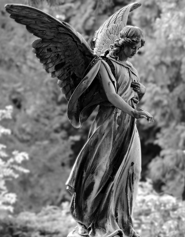 angel-2403401_1920.jpg