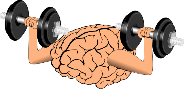 brain-train-800px.png