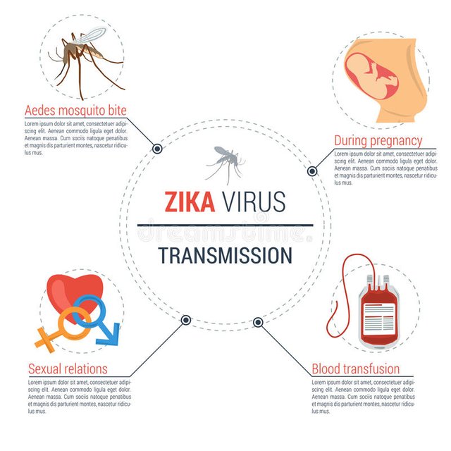 zika-virus-infographic-transmission-vector-medical-concept-flat-style-68643023.jpg