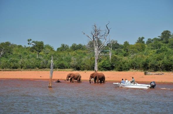 bumi-hills-safari-lodge-boat-cruise-elephants-590x390.jpg