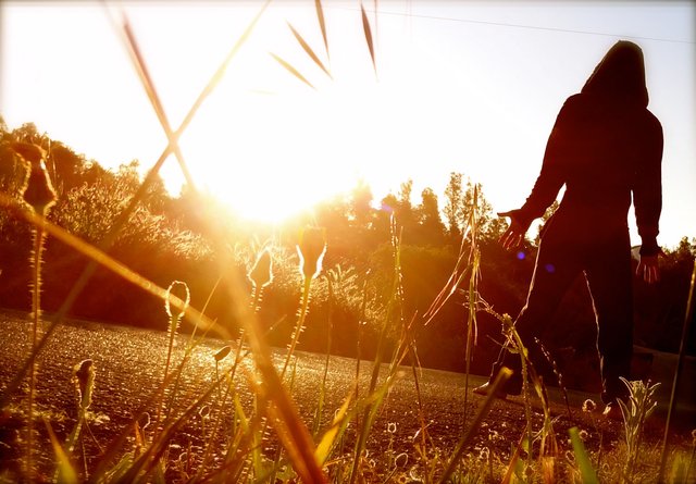 sebcam sungazing.JPG