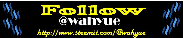 wahyue 1.1.jpg