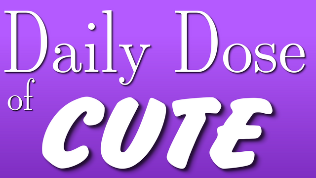 daily_dose_cute.png