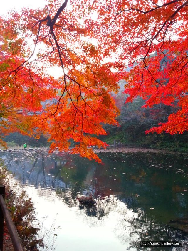 2012-11-09 17.03.25.jpg