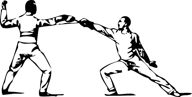 fencing-37360_640.png