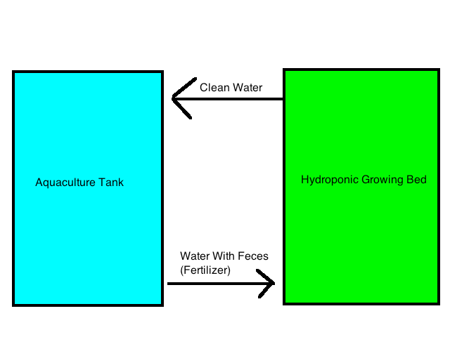 Aquaponics.png