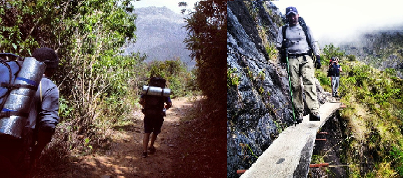 Caminos de la  naturaleza o construidos....png