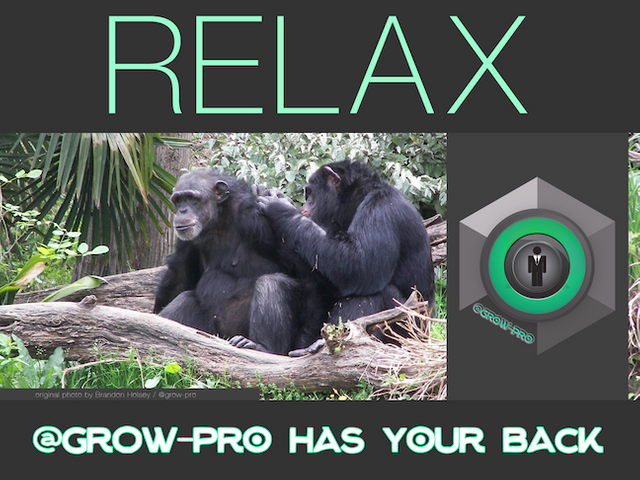 Relax_cover-steemit_grow-pro.png