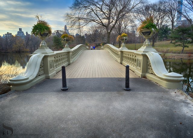 Bow Bridge Central park.jpg