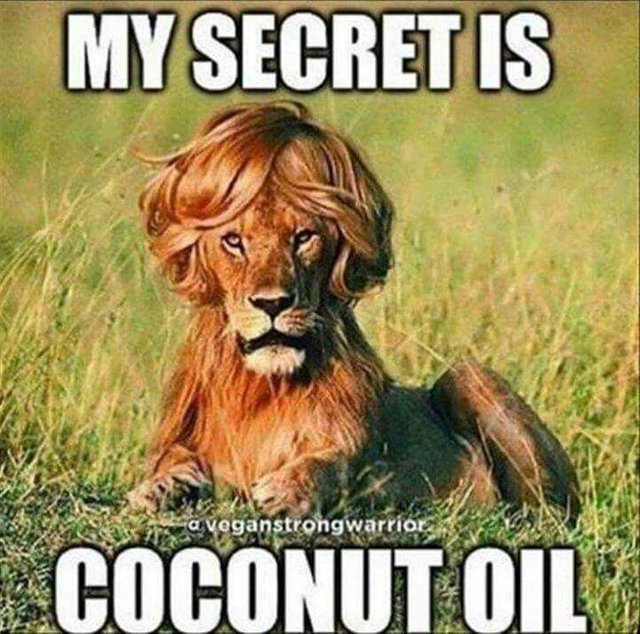 hair secret olive oil because of .jpg