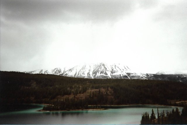 snow capped mountain alaska.jpg