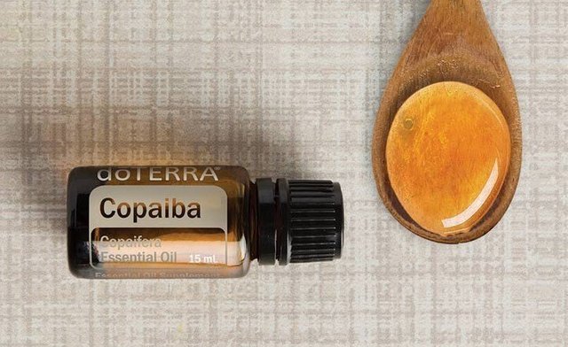 copaiba-crop.jpg