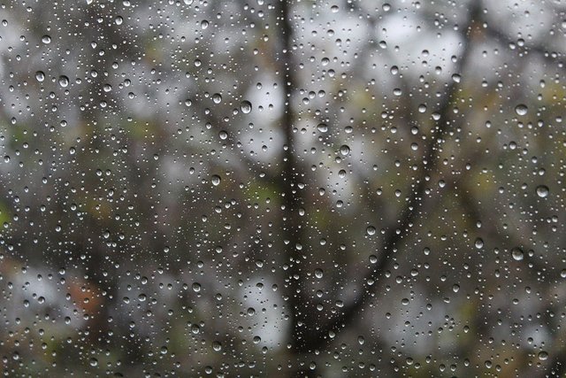 rainy-day-1831908_960_720.jpg