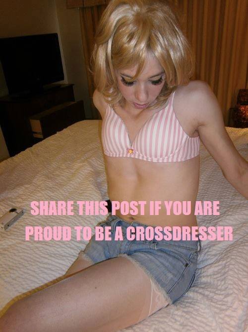 cdproud.jpeg