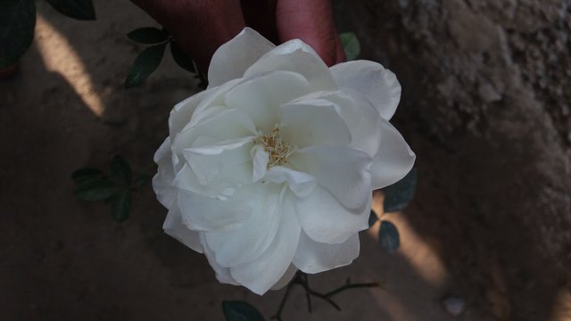 20180124_102129.jpg