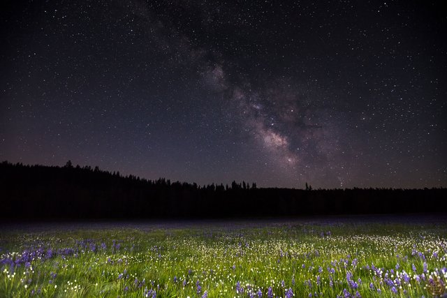 Milky Way Above Sagehen Meadows 1.jpg