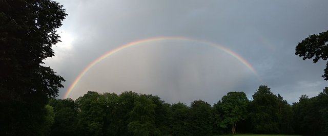 20170724_203240836.jpg