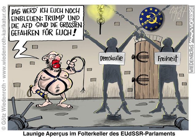 20170208_Schulz_SPD_Europa_EUdSSR_Freiheit_Demokratie_Folter.jpg