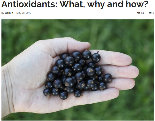 lsl antioxidants.png