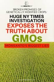 GMO.jpg