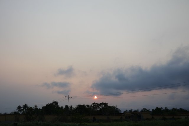 atardecer.JPG