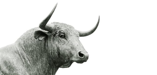bull-918893_1280.jpg