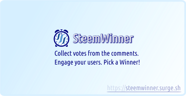 steemwinner contest